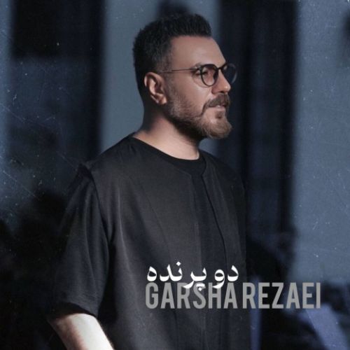 دانلود آهنگ جدید گرشا رضایی به نام دو پرنده