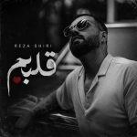 دانلود آهنگ جدید رضا شیری به نام قلبم دانلود آهنگ جدید رضا شیری به نام قلبم
